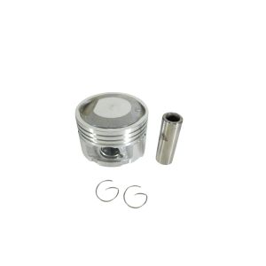 PISTAO TITAN P ANEL CG STD REDFOX