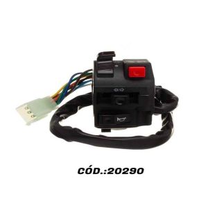 20290_1