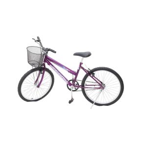 BIC 24 COMPL FEM C CESTA VERMELHA ULTRA