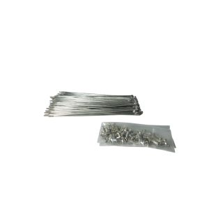 RAIO 190X25 GROSSO INOX (72 RAIOS) BACE