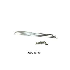 RAIO 255X25 GROSSO INOX (72 RAIOS) BACE