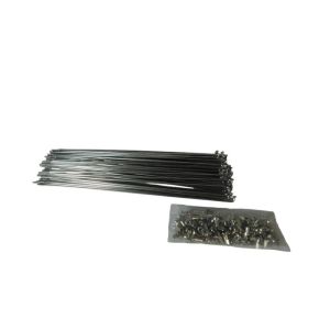 RAIO 255X25 GROSSO INOX (72 RAIOS) BACE