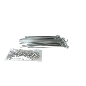 RAIO DIANT TITAN 99 INOX BACE