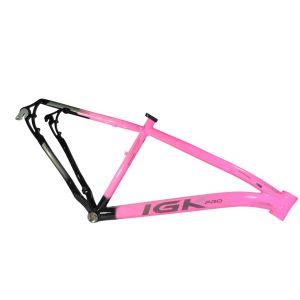 KIT 29 ALUM 17 347MM MASC BIC PTPINK IGK PRO