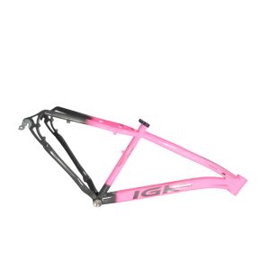 KIT 29 ALUM 17 347MM MASC BIC GRFPINK IGK PRO
