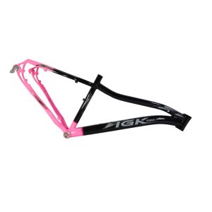 KIT 29 ALUM 15 347MM FEM BIC PINKPT IGK PRO