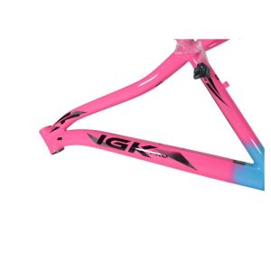KIT 29 ALUM 17 347MM FEM BIC AZRS IGK PRO