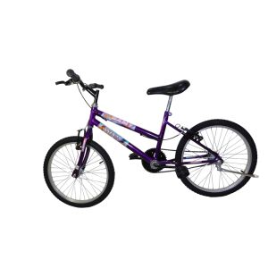 KIT BIC 20 FEM VB VIOLETA KIT BIC
