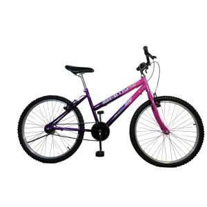 KIT BIC 24 FEM PINKVIOLETA SAMI