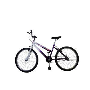 KIT BIC 24 FEM BRANCOVIOLETA SAMI