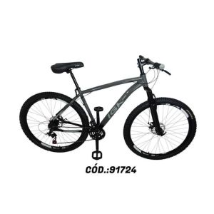 KIT BIC 29 AL19 MASC PTGRF PN PT RT IGK PRO