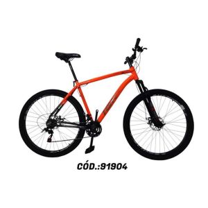 KIT BIC 29 AL 21 MASC GRFLJ PN PT CV IGK PRO