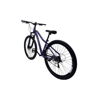 KIT BIC 29 AL15 FEM LILAS PN PTO CV IGK PRO