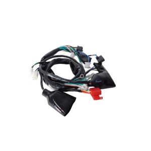 CHICOTE PRINCIPAL BROS 150 0608 ESD SMARTFOX