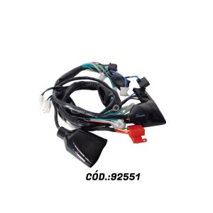 CHICOTE PRINCIPAL BROS 150 0608 ESD SMARTFOX