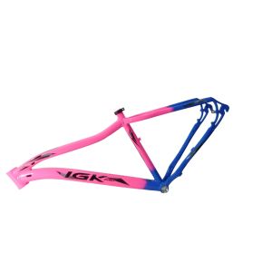 KIT 29 ALUM 17 347MM FEM BIC AZ CLPINK IGK PRO