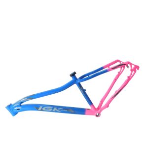 KIT 29 ALUM 15 347MM FEM BIC PINKAZ CL IGK PRO