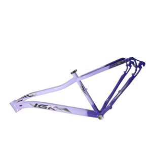 KIT 29 ALUM 15 347MM FEM BIC VIOLLILAS IGK PRO