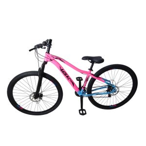 KIT BIC 29 AL15 FEM AZULROSA PN PT RT IGK PRO