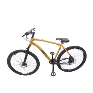 KIT BIC 29 AL 21 MASC PTOURO PN PTO CV IGK PRO