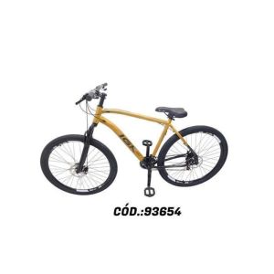 KIT BIC 29 AL 21 MASC PTOURO PN PTO CV IGK PRO