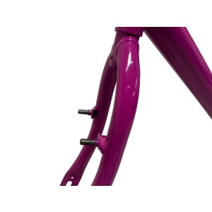 KIT 20 FEM V BRAKE RBX PINK SAMI